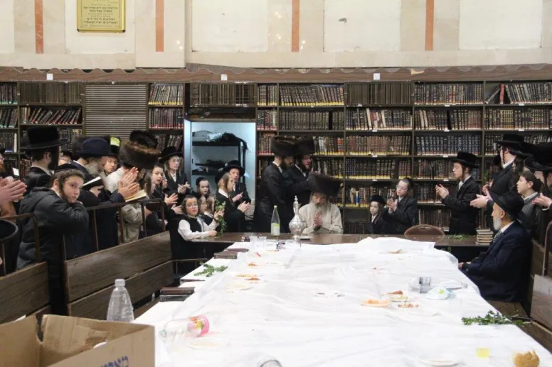 נדבורנה צפת צילום דוד קשת (15)
