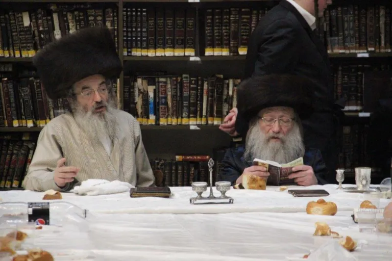 נדבורנה צפת צילום דוד קשת (2)