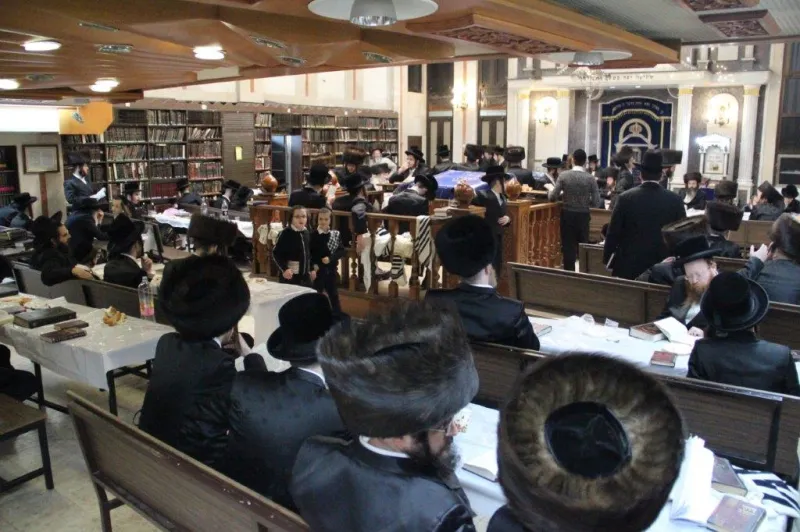 נדבורנה צפת צילום דוד קשת (3)