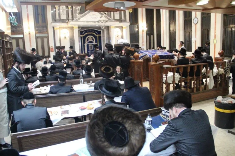 נדבורנה צפת צילום דוד קשת (4)