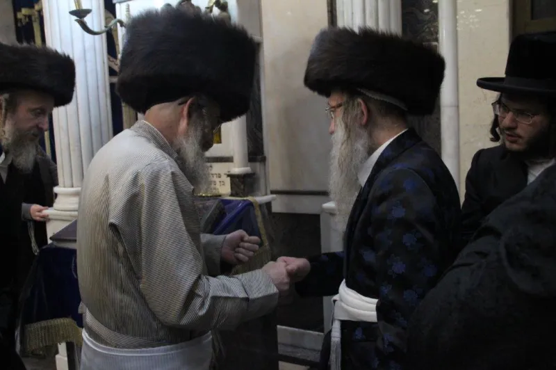 נדבורנה צפת צילום דוד קשת (6)