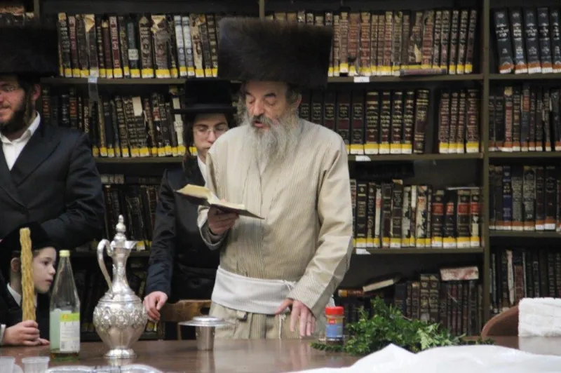 נדבורנה צפת צילום דוד קשת (7)