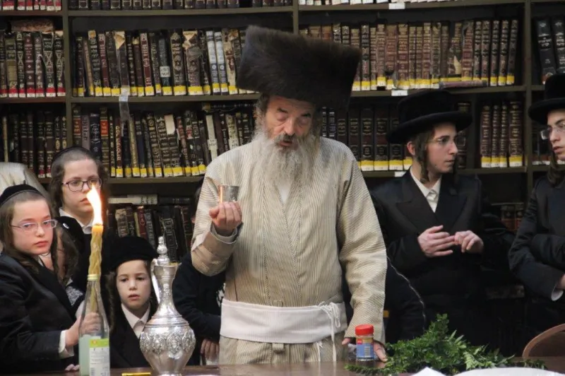 נדבורנה צפת צילום דוד קשת (9)