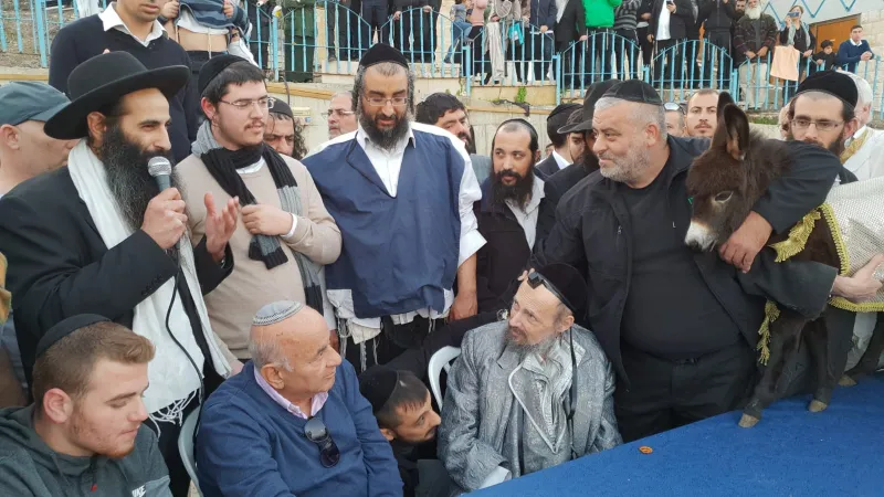 פדיון פטר חמור עם הרב קוק טבריה צילום דוד שדה (8)