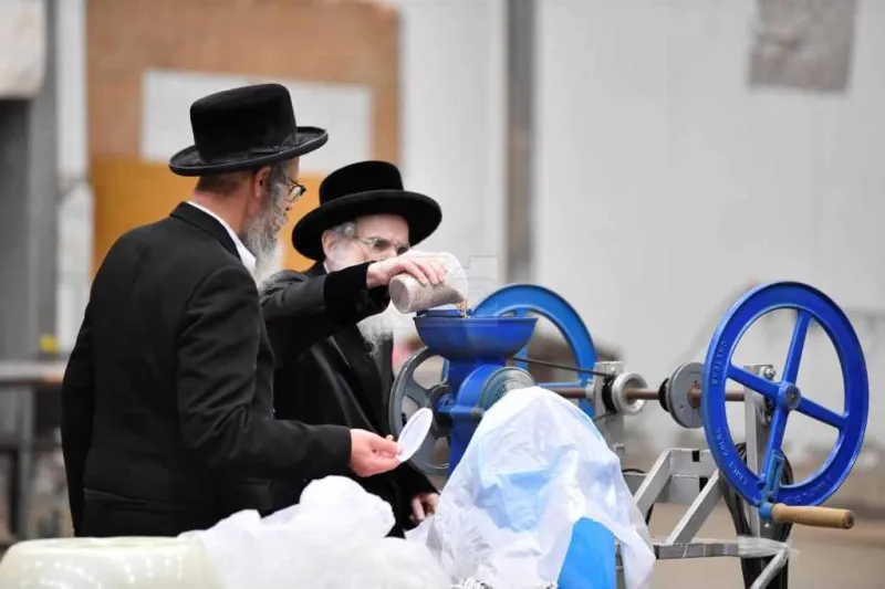 פסח בויז'ניץ צילום יהושע פרוכטר (2)