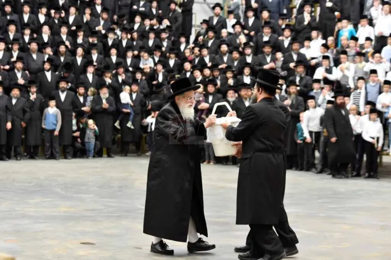 פסח בויז'ניץ צילום יהושע פרוכטר (9)