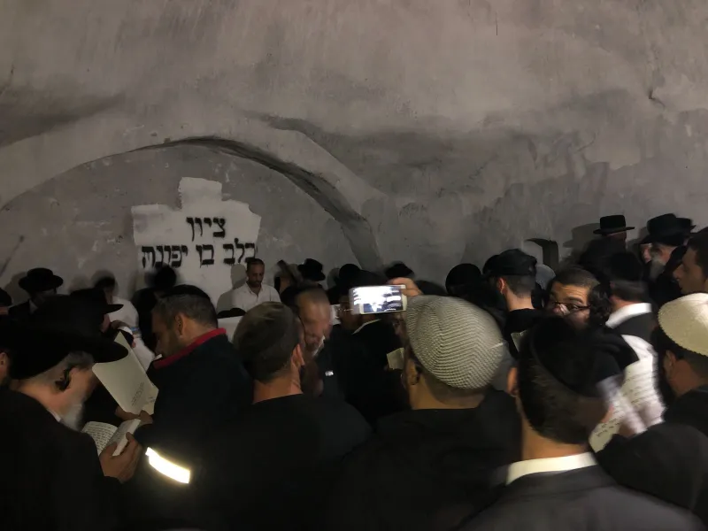 ציון כלב בן יפונה