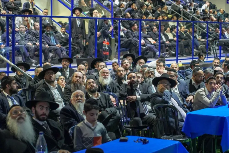 צילום שניאור שיף (7)