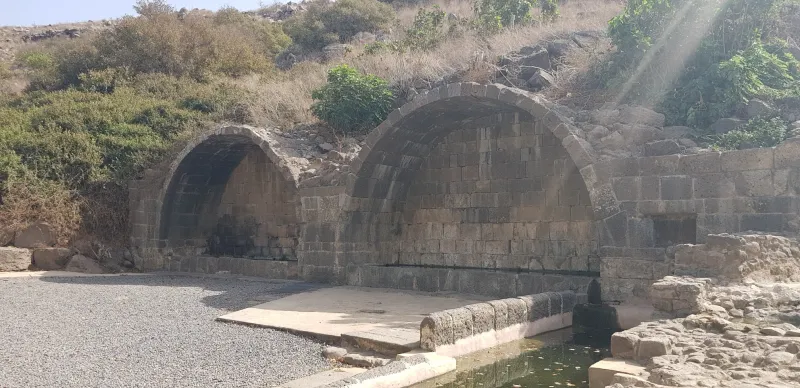 קשתות