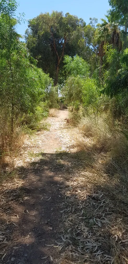 שביל