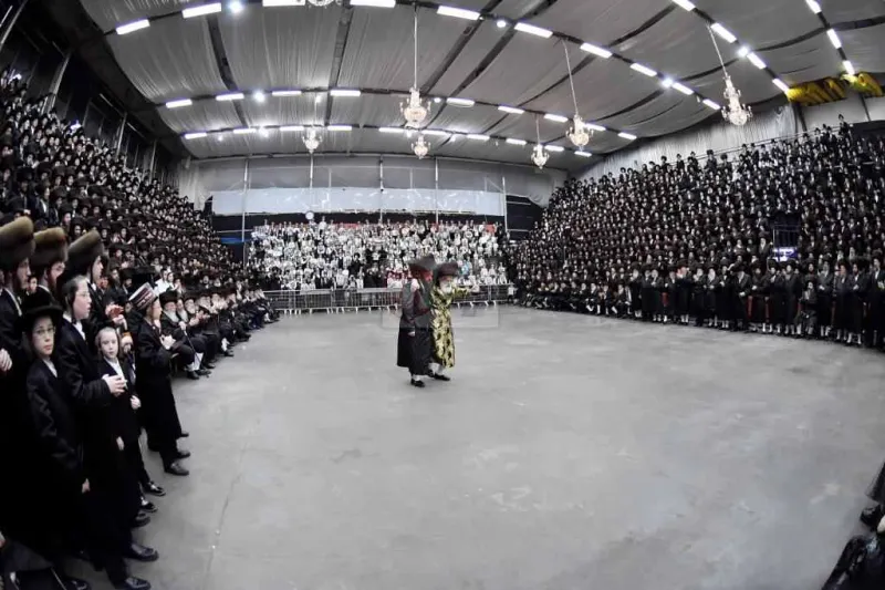 שבע ברכות אחרון ויז'ניץ צילום יהושע פרוכטר (31)