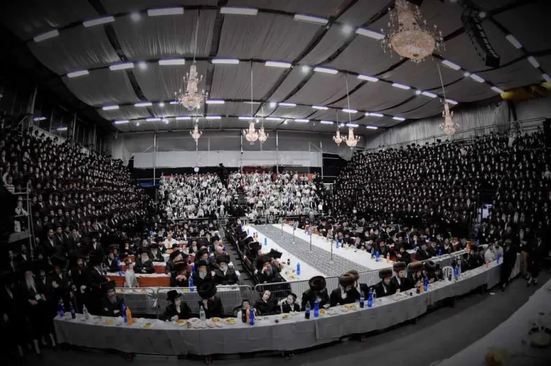שבע ברכות אחרון ויז'ניץ צילום יהושע פרוכטר (6)