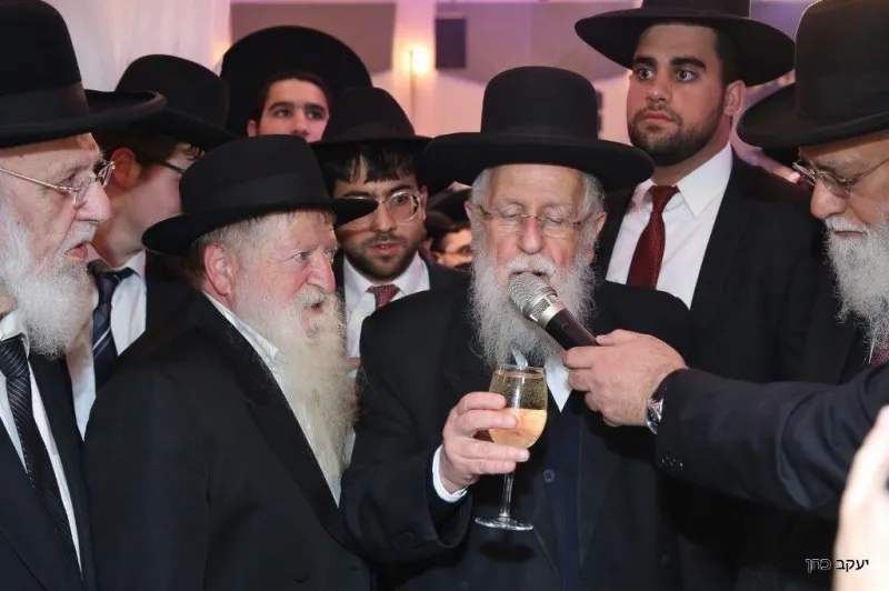 חתונת נכד נשיא המועצת צילום יעקב כהן (16)