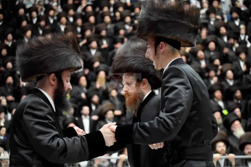 חתונה ויז'ניץ צילום יהושע פרוכטר (78)