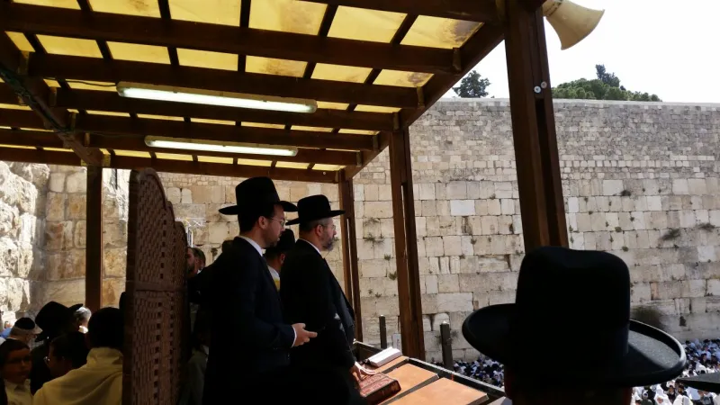 הרב לאו
