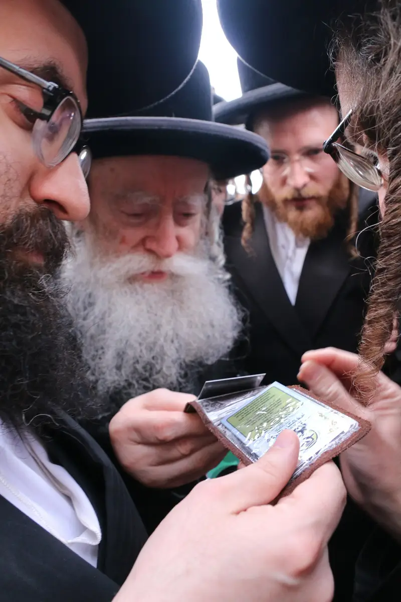 ההילולא בקרעסטירר צילום שלומי טריכטר (26)