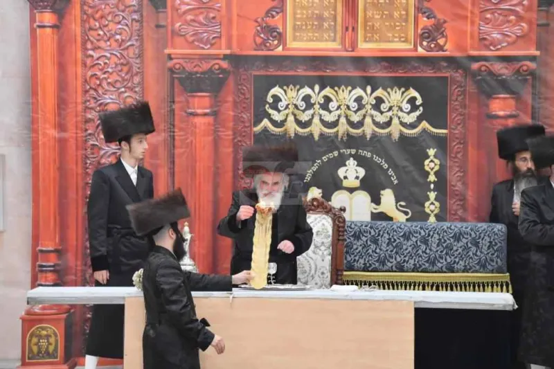 ויז'ניץ אויפרויף צילום יהושע פרוכטר (18)