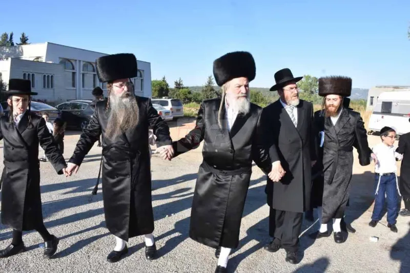 אשלג במירון צילום יהודה פרקוביץ (4)