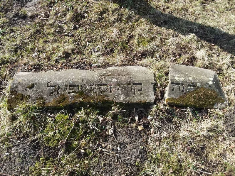 מסע שפירא יום ג' צילום יעקב נחומי (24)