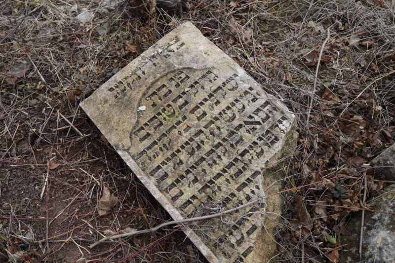 מסע הרב שפירא צילום יעקב נחומי (13)