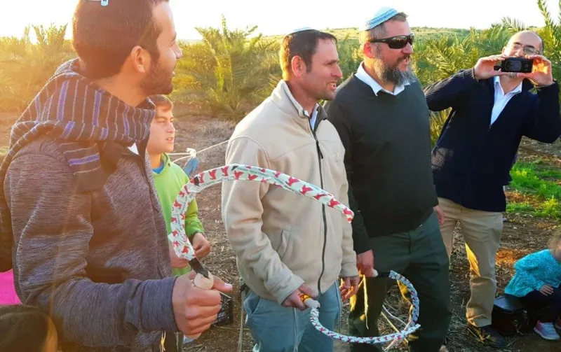 קציר העומר צילום דוד קליגר (6)