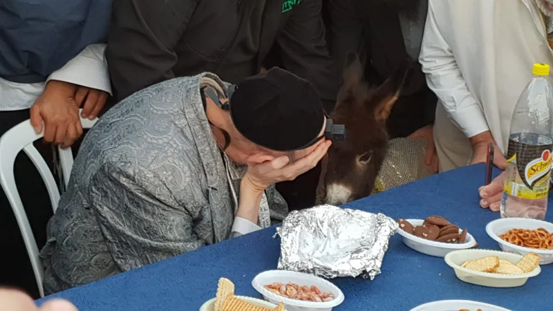 פדיון פטר חמור עם הרב קוק טבריה צילום דוד שדה (7)