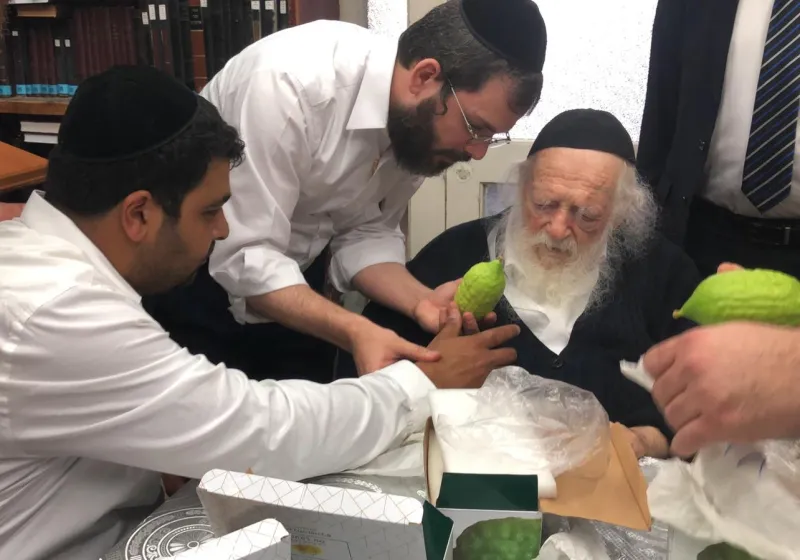 אתרוגים ר' חיים (1)