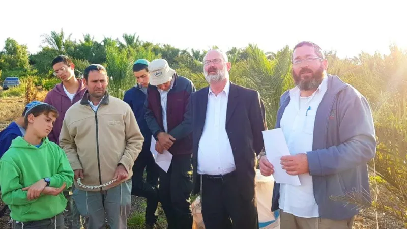 קציר העומר צילום דוד קליגר (5)