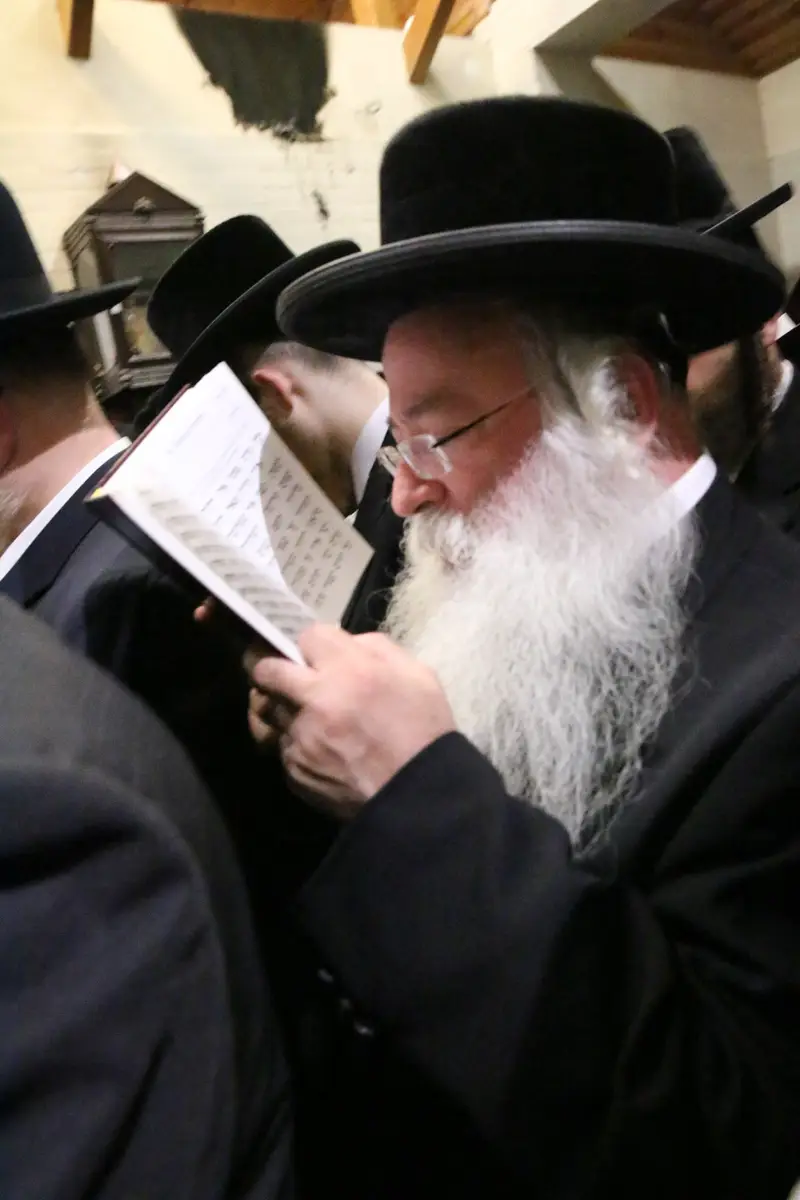 ההילולא בקרעסטירר צילום שלומי טריכטר (35)