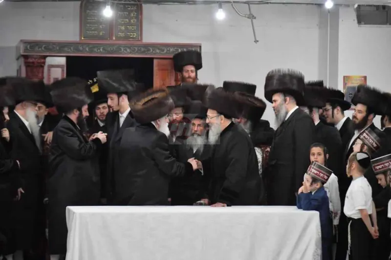 ויז'ניץ אויפרויף צילום יהושע פרוכטר (7)