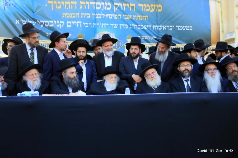 דוד_זר_(14)