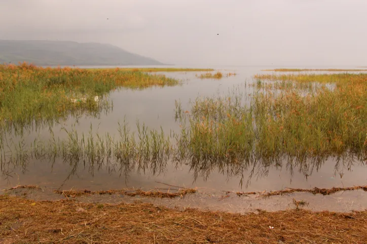 MIDEAST ISRAEL LANDSCAPE