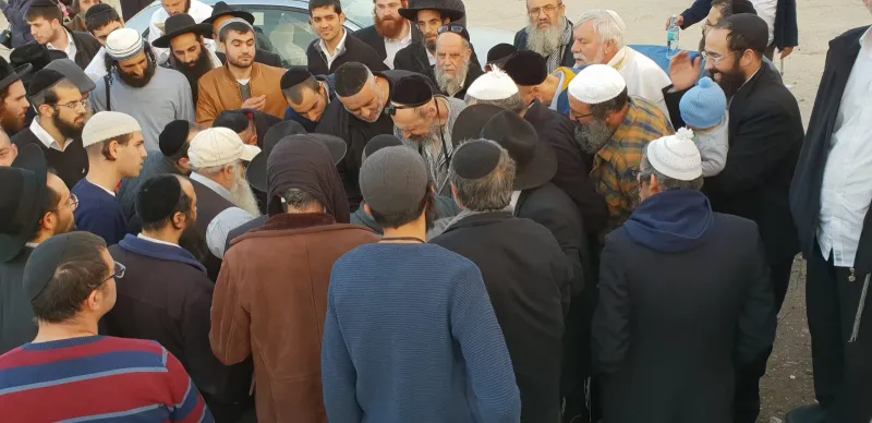 פדיון פטר חמור עם הרב קוק טבריה צילום דוד שדה (6)