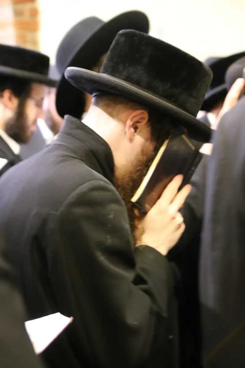 ההילולא בקרעסטירר צילום שלומי טריכטר (29)