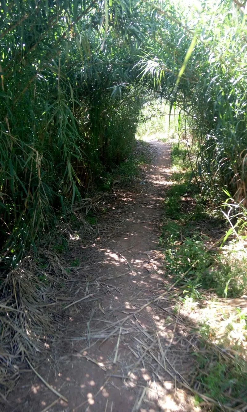 IMG-20170803-WA0035