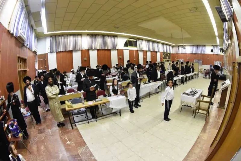 אשלג במירון צילום יהודה פרקוביץ (13)
