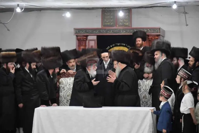 ויז'ניץ אויפרויף צילום יהושע פרוכטר (5)