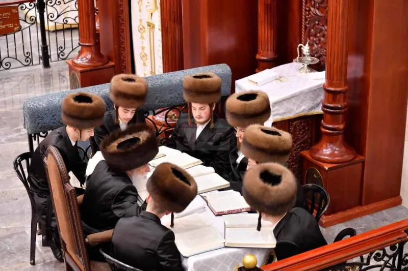 פסח בויז'ניץ צילום יהושע פרוכטר (28)