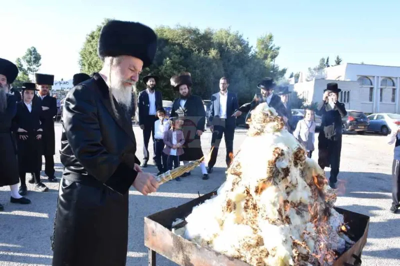 אשלג במירון צילום יהודה פרקוביץ (2)