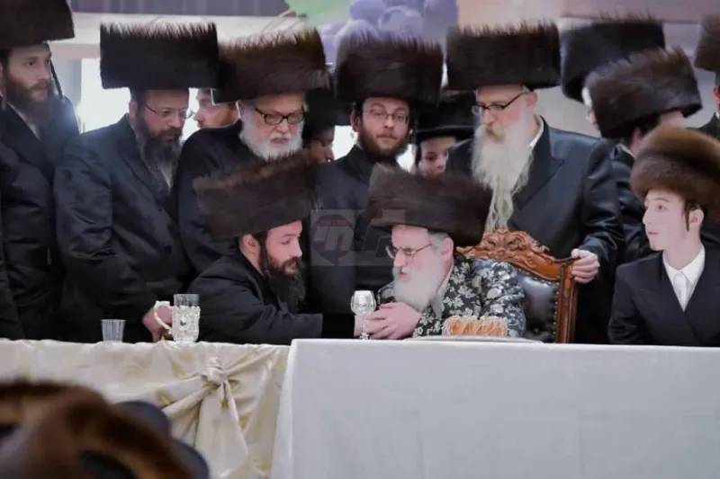 אירוסין ויז'ניץ צילום יהושע פרוכטר (28)