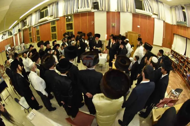 אשלג במירון צילום יהודה פרקוביץ (15)