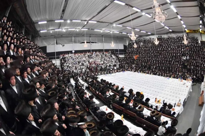 ויז'ניץ אויפרויף צילום יהושע פרוכטר (27)