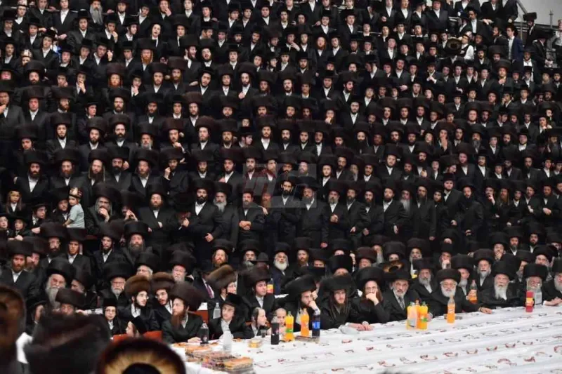 ויז'ניץ אויפרויף צילום יהושע פרוכטר (24)