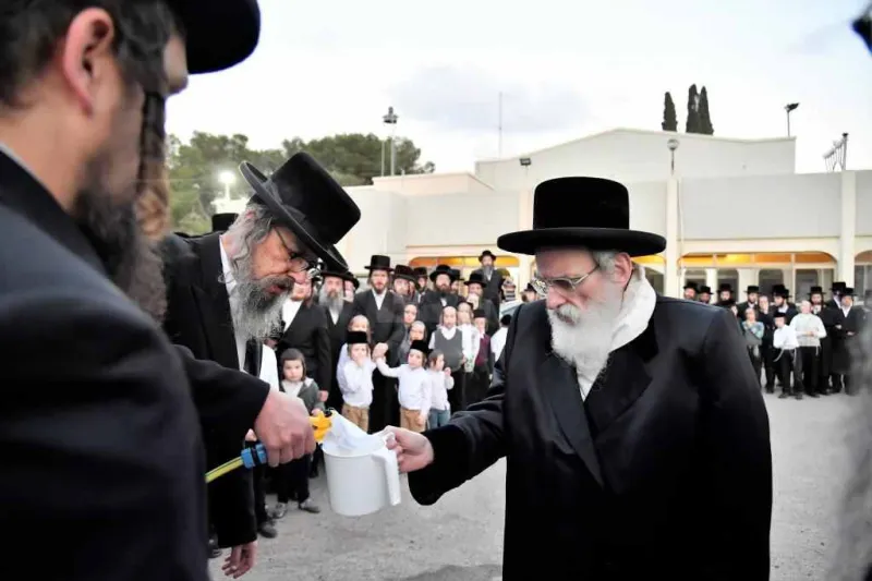 פסח בויז'ניץ צילום יהושע פרוכטר (6)