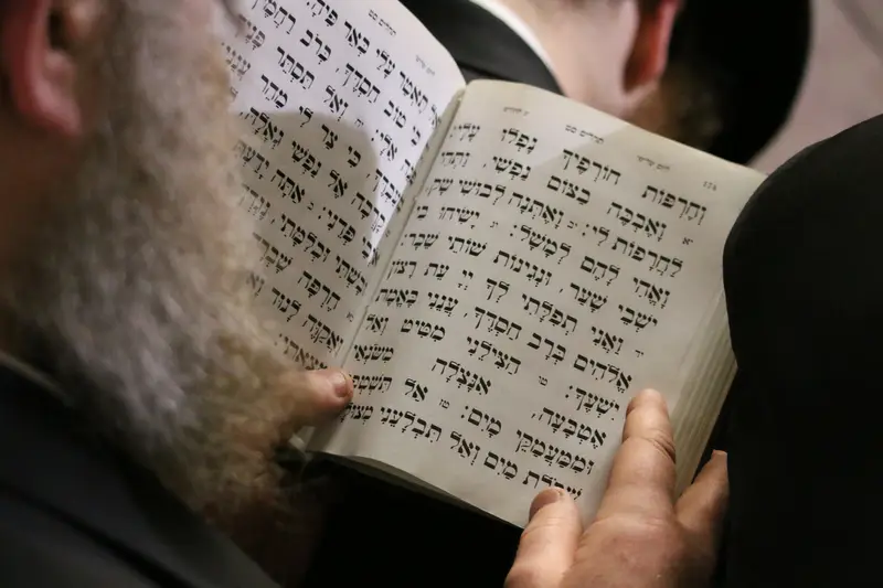 ההילולא בקרעסטירר צילום שלומי טריכטר (1)