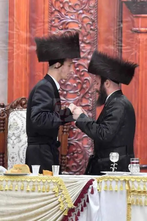 ויז'ניץ אויפרויף צילום יהושע פרוכטר (36)
