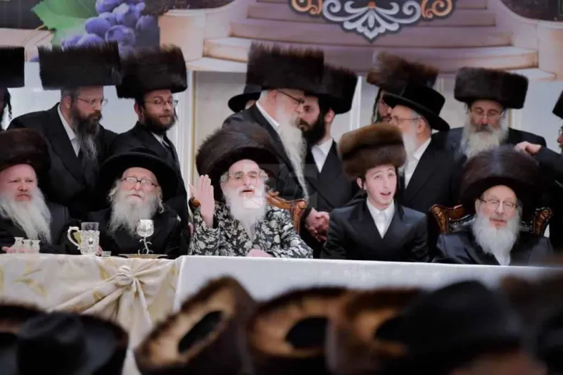 אירוסין ויז'ניץ צילום יהושע פרוכטר (12)