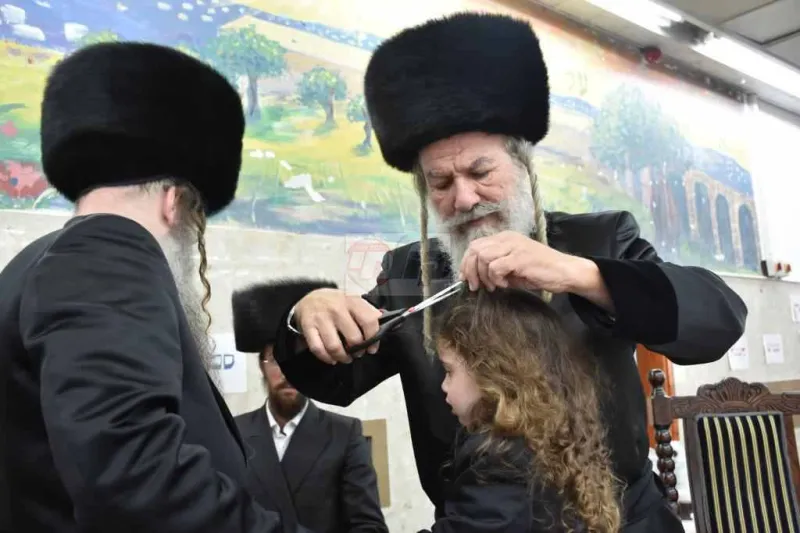 אשלג במירון צילום יהודה פרקוביץ (6)
