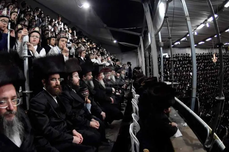 חתונה ויז'ניץ צילום יהושע פרוכטר (43)