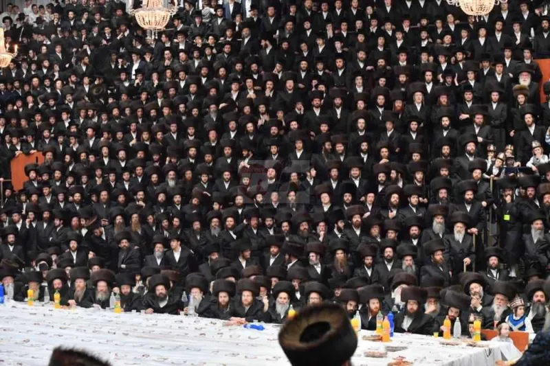ויז'ניץ אויפרויף צילום יהושע פרוכטר (25)